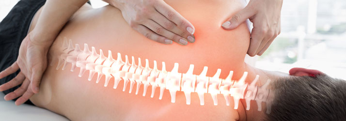 Chiropractic Livingston NJ Scoliosis Chiropractic Livingston NJ Scoliosis